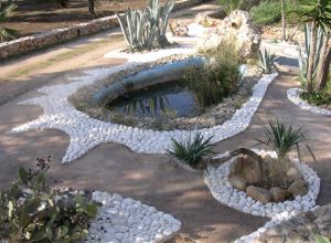 image14 Macchia Salentina