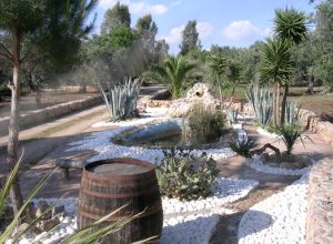 image6 Macchia Salentina