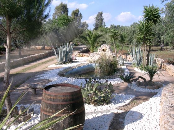 macchia salentina foto esterno 26