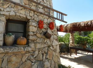 image24 Macchia Salentina