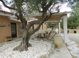 image10 Macchia Salentina