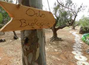 image15 Macchia Salentina