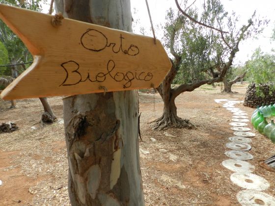 macchia salentina foto giardino 22