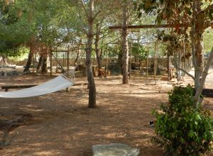 image5 Macchia Salentina