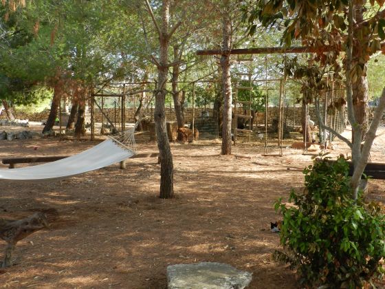 macchia salentina foto giochi_per_bimbi 20