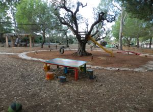 image3 Macchia Salentina