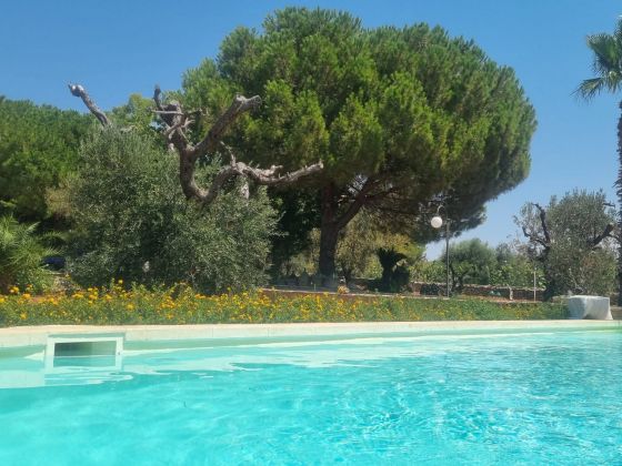 macchia salentina foto piscina 3