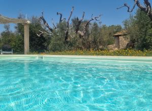 image29 Macchia Salentina