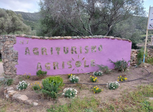 image6 Agrisole