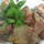 preview image11 ristorante