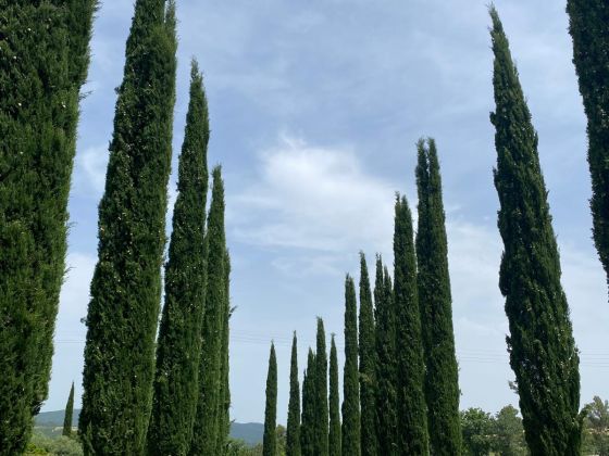 Sant'anna - foto 20