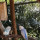 preview image7 animali