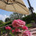 preview image15 giardino