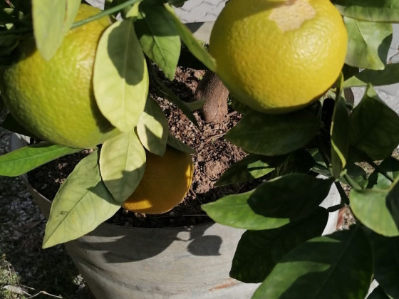 nuvolino foto produzione 21