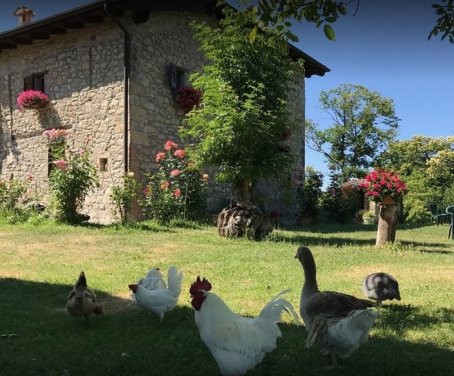 Agriturismo La Piana Dei Castagni - Castel D'Aiano