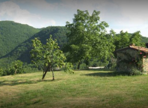 image23 La Piana Dei Castagni