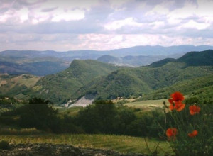 image20 La Piana Dei Castagni