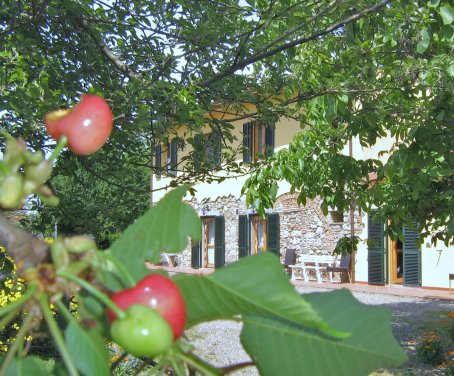 Agriturismo Il Gelso - Santa Luce