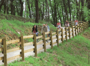 image12 Ronch Dai Luchis