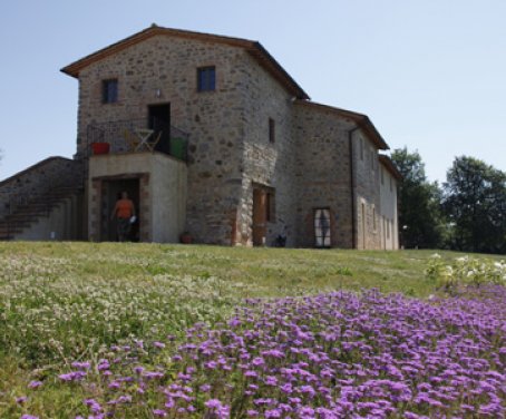 Agriturismo Podere Le Olle - Montegabbione