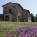 Podere Le Olle