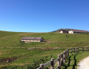 malga arpaco