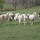 preview image8 dintorni