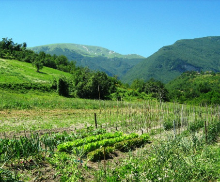 le querce - Marche