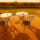 preview image9 esterno