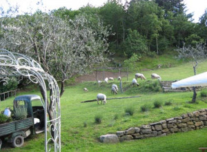 image17 Cà Del Lupo