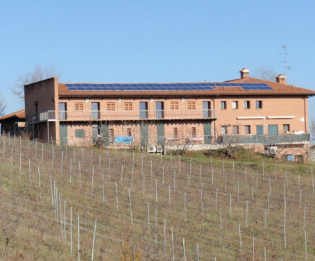 Agriturismo Il Poggiolo - Pianoro