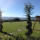 preview image5 giardino