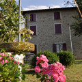 Campo Del Pillo
