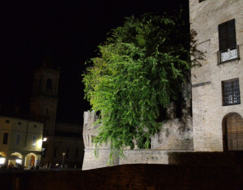 la fattoria del boschetto