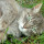 preview image10 esterno