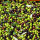 preview image6 esterno