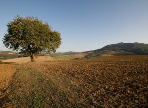 image25 Le Selvole