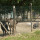 preview image1 piscina