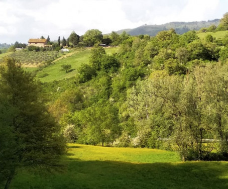 Ferienbauernhof Le Corti - Vaglia