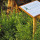 preview image5 esterno