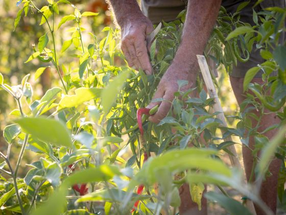 san carlo foto esterno 19