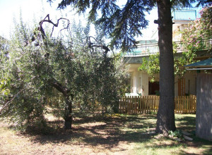 image12 Villa Mari