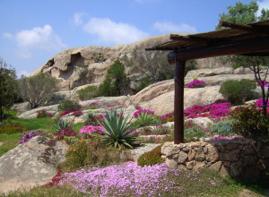 image12 A Le Querce