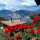 preview image4 esterno