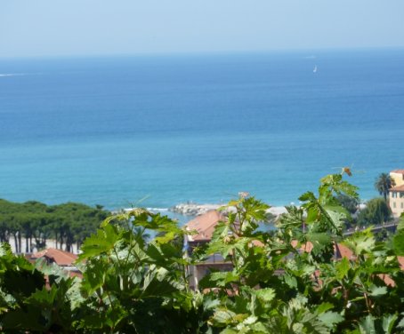 Agritourisme La Ciapeleta - Ventimiglia