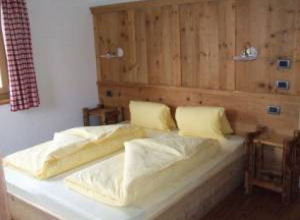 image6 Paracia