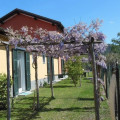 Le Giare