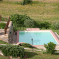 Olivetino