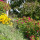 preview image16 esterno
