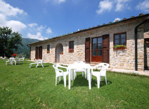 image7 Il Pavone